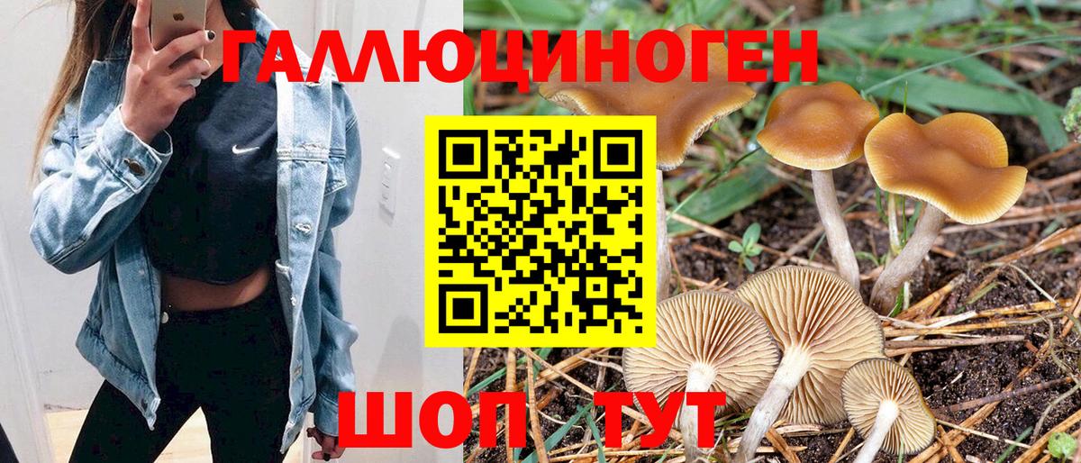 Псилоцибиновые грибы Magic Shrooms  Галлюциногенные грибы GOLDEN TEACHER  Вход с VPN  Елизово 